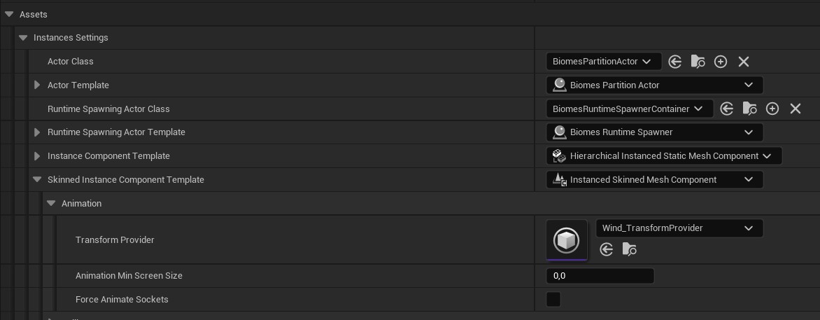 Skinned Instance Component Template Transform Provider